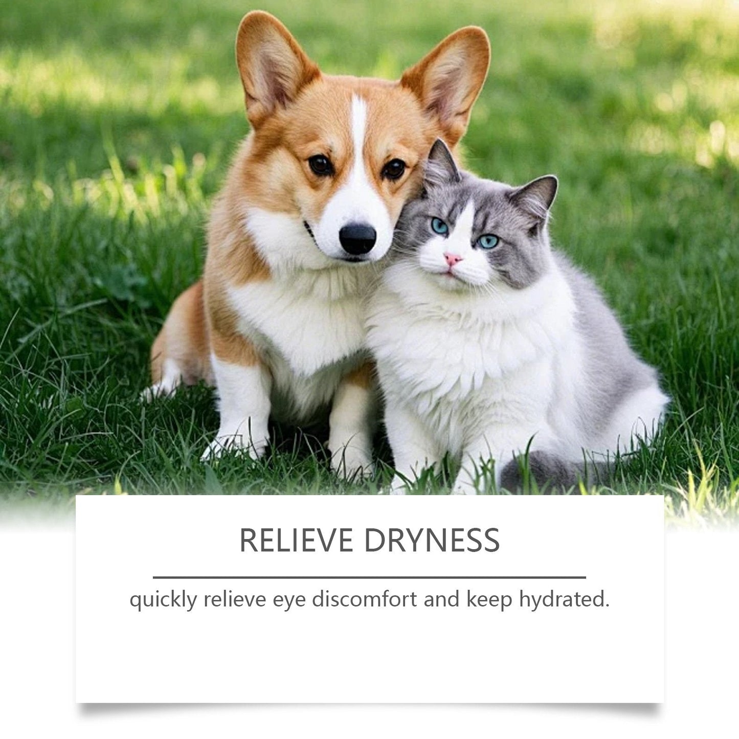 BrightEyes+ Eye Drops ForPets